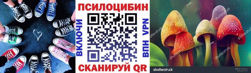 Псилоцибиновые грибы Magic Shrooms  Купить закладки  Дзержинский 